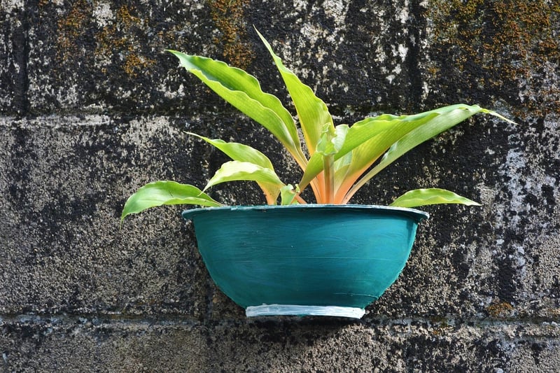 Hanging Pots